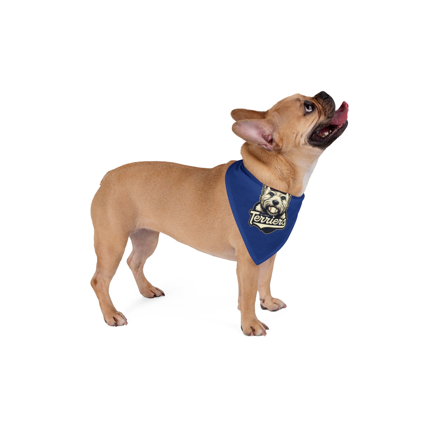 St. Louis Terriers / Pet Bandana